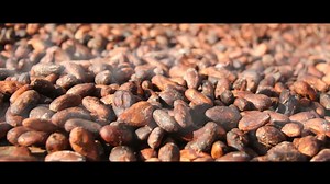 Forbo Flooring Systems on Reels