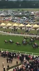 And a massive racing field of 29 horses at Royal Ascot! | EventStars Ltd