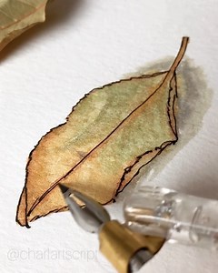 542K views · 1.2K reactions | My though process: “Just keep painting until it looks it starts to look worse than better”  . The leaves I had preserved on my desk turned from green to a lovely green-to-gold gradient, so it inspired me to take out my  . Brush: watercolor mop brush(?) Paint: Kuretake watercolor . #charlartscript #art #watercolor #painting #timelapsepainting | CS Calligraphy Studio | Facebook