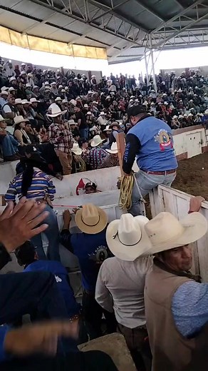 Jaripeos Perrones Guanajuato Michoacan on Reels