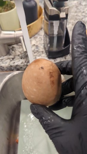 SKILL ✅ CHECK! Are you cleaning mushrooms the right way?!? ✨ Leaving the gills in equals excess moisture ✨ Gently rub outside of the mushroom so that you don't break it. ✨ Keep the stems for soup broths and you can chop them up and put them in your dish. ✨ These are portabella mushrooms, if you're getting specialty mushrooms, you still should wipe the outside, but you might not remove the gills depending on the shape and mushroom type. . . Xoxo... Alex 😘 #howto #kitchenbasics #skills #cookingba