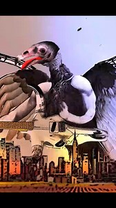 4.9K views · 70 reactions | NEW Tendrils music video! Watch here - https://youtu.be/aUR9J_l9Mk8  UK Metal / Chaotic Hardcore for fans of Converge, Botch, Dillinger Escape Plan Animated video by Hot Frog Animations #hardcore #metal #chaotichardcore #hardcoreband #metalcore #mathcore #headbanger #metalhead #metalheads #thecirclepit | The Circle Pit | Facebook