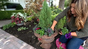 Planting a Couple of Fall Containers & Harvesting Ornamental Corn! 🍂🌽 🍁 | Garden Answer