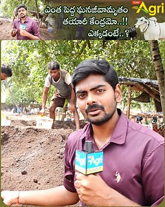 2.8K views · 66 reactions | What is Ghana Jeevamrutha? It is an...