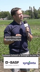 The list of #herbicides that are losing their effectiveness against #kochia is growing #cdnag #westcdnag #ontag #farming | RealAgriculture | Facebook