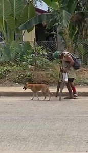 4.9K views · 106 reactions | REGION 2 ISABELA PROVINCE GOOD JOB TO...