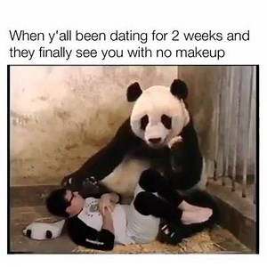 Panda Boy | The MAD Engineers