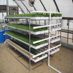 [Hot Item] Egetable Plant Nursery Rack Aquaponics Growing System Plastic Fodder Grow Tray