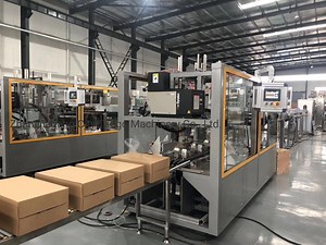 [Hot Item] Automated Pet Glass Bottle Carton Cardboard Box Cartoning Packing Packaging Machines