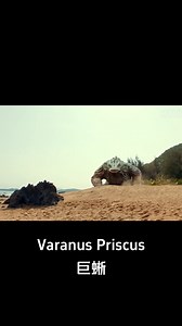 858K views · 14K reactions | The man feels guilty and helps the beautiful woman! #巨蜥 #VaranusPriscus #优酷电影 #youkumovie | Youku Movie | Facebook