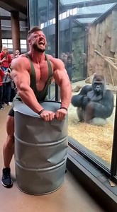 1M views · 3.1K reactions | The bodybuilder hits with full power… then the gorilla steps in  | Common Sense On Mars | Facebook