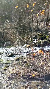 #rtanj #istocnasrbija #rtanjmountain | Wild East Serbia