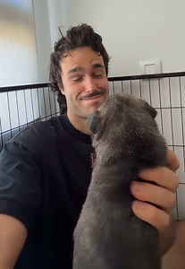 Cachorro con heterocromía heredada de Killua