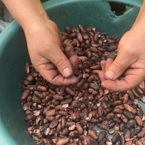 94K views · 603 reactions | Chocolate de la pepa de oro | Doña María | Facebook