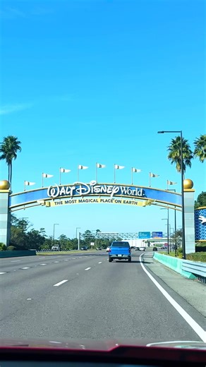 Adult hard, Disney Adult harder!