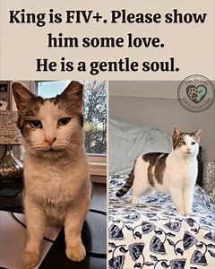 27K views · 3.1K reactions | HIS STORY, as much as I know...He has...