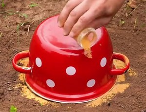 1.6M views · 8K reactions | Unusual hacks to maximize your garden's potential! | 5-Minute Crafts Teens | Facebook