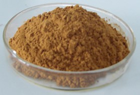 [Hot Item] Reishi Mushroom Extract for Functional Food