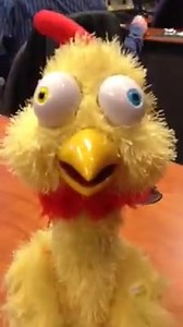 3 comments | Now to the highlight of Christmas Eve morning .... I chocked a chicken. | Paris Jackson TV News | Facebook