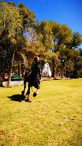 4.1K views · 57 reactions | Friesian in Action ❤️‍ #equestrian #blackbeauty #lovehorses #equine #caballos #horsetraining #goodvibes #EquestrianPassion #equestrianlife #photography #horseriding #horsepower | Centro Cultural Ecuestre Domecq | Facebook