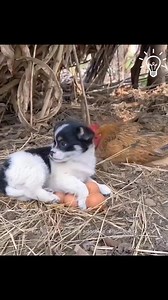 Adorabili! 🤗🥰😘😍 | VideoBlog