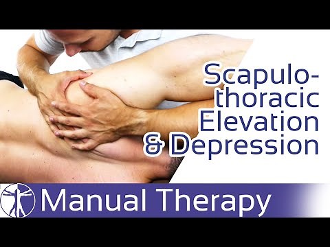Elevation & Depression | Scapulothoracic Joint Play Assessment & Mobilization
