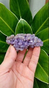 These crystals would never be Polish 🇵🇱 #crystalshop #gemstones #crystalcollector #crystalhealing #crystals | Stonebridge Imports Ltd.