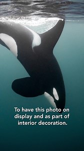 Today we're excited to share a video featuring Canson® Infinity ambassador Stéphane Granzotto, who shares his passion for printing photographs in this first-person video. Discover why he believes preserving his moments on paper is important and how printing helps him create art and keep memories alive. | Canson Infinity