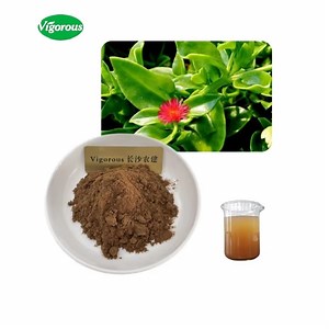 [Hot Item] 100%Pure Natural Kalmegh Extract Andrographis Paniculata Extract
