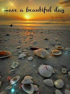 St. George Inn on Reels | Facebook