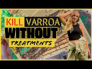 A BETTER Way To KILL VARROA MITES! Beekeeping 101 #beekeeping