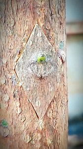 3.7K views · 22 reactions | Automatic chamfering machine#Automatic tapping machine#Automatic tapping machine #Complete Automatic tapping machine | unique grafting | Facebook