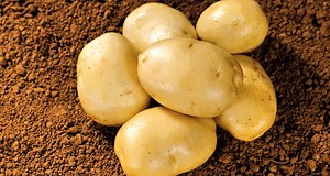 759K views · 1.1K reactions | Simple but essential! The most popular food in Ordos will guide us to a citywalk! #Ordos #CCTV2023 | CCTV | Facebook