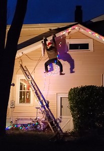 117K views · 503 reactions | Holiday decoration gone wrong! | Creative Bee | Facebook