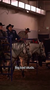 4.8K views · 737 reactions | SEVS Judgement Day and Oz Ona Hot Streak are BIG chilling at the Thomas & Mack. They don’t mind one bit 路‍♀️ Clay Smith AND our horse coverage are both sponsored by ADM Animal Nutrition - Horse Feeds  | The Team Roping Journal Magazine | Facebook