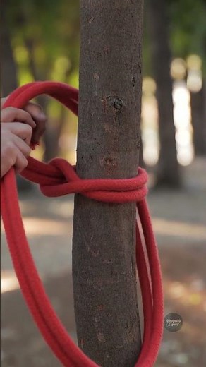 Splash into Summer: DIY Your Own Adventure Kayak!