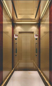 [Hot Item] FUJI Passenger Elevator with Gearless Traction Machine, Support Professional Sevice