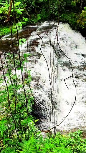 Vattakanal Waterfalls #kodaikanal #nature #shorts | South Tube | Facebook