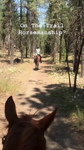 1.4K views · 43 reactions | Do you enjoy trail riding? Or maybe the...