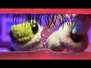 ASMR Froggie Friend Cleans Your Eyes!👁️| Relaxing Eye Cleaning for Tingles & Sleep 💤