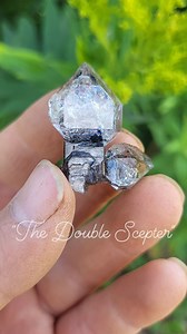 1K views · 145 reactions | ((VOLUME UP to hear the ambient wild...