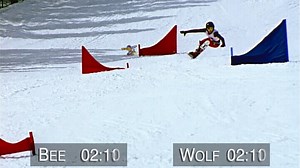 Honey Nut Cheerios - Sproing