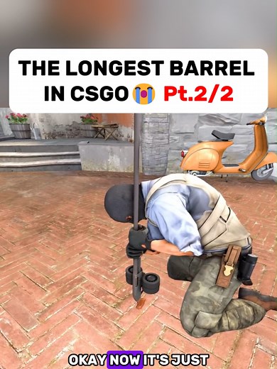 THE LONGEST BARREL🤣🤣 Pt.2/2 #animation #csgo #csgoclips #fyp #liechtenstein
