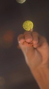 Pizza and prickles: a perfect pairing at our Hedgehog Cafe! 🍕🦔 . . . Open from 9:30 AM to 11:30 PM 🕰️ . Make your reservations today 📞 0172-4730478 . #hedgehogCafe #Hedgehog #BestInTown #MustTry #Sector7Chandigarh #Explore #Visitustoday #cheesecake #furfriends #dessert #chocolate #petfriendly #food #foodie #yummy #homemade #desserts #instafood #brownies #foodphotography #delicious #cakes #baking #sweet #friendsofthehedgehog | The Hedgehog Cafe