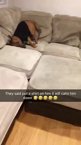 "Get it off! Get it off! Get it off!" 😂 | VT