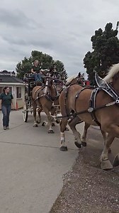 3.8K views | Champlain Valley Fair on Reels | Facebook