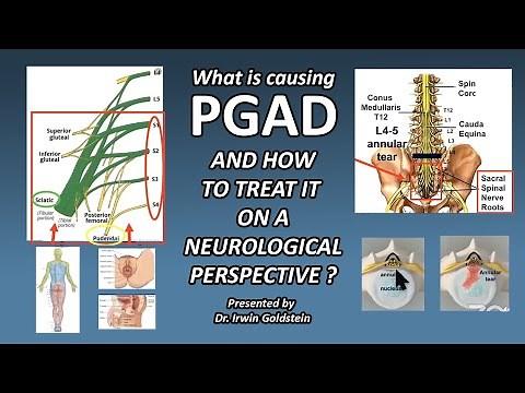 Persistant Genital Arousal Disorder : Neurogenital Testing and Treatment by Irwin Goldstein