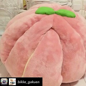 29K views · 1.8K reactions | “Peek-a-boo Chihuahua!” Video by @bikke_gakuen Find cute Chihuahua stuff at store.famouschihuahua.com #famouschihuahua #chihuahua #chihuahuaworld #chihuahualife #chihuahuasofinstagram #chihuahualover #chihuahuafanatics #chihuahuaaccessories #sharethelove | Famous Chihuahua | Facebook