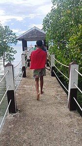 visit Kabug Mangrove Park and Wetlands in Siay, Zamboanga Sibugay, you will experience a true reconnection with nature. crossing the mangrove forest with its more than a 1 kilometer boardwalk. so wonderful.😍🥰 # mangroveforest | Mary Jane Cabatuan