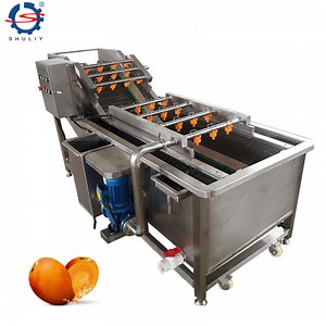[Hot Item] Commercial Vegetable Washer Tomato Washing Machine for Fruit Vegetable